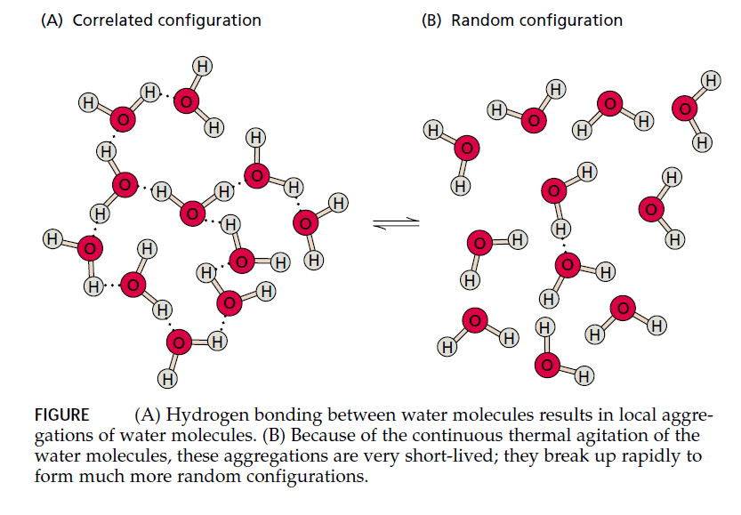 WATER IN PLANT LIFE Study Solutions