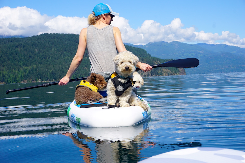Best SUP's For Paddling With Dogs