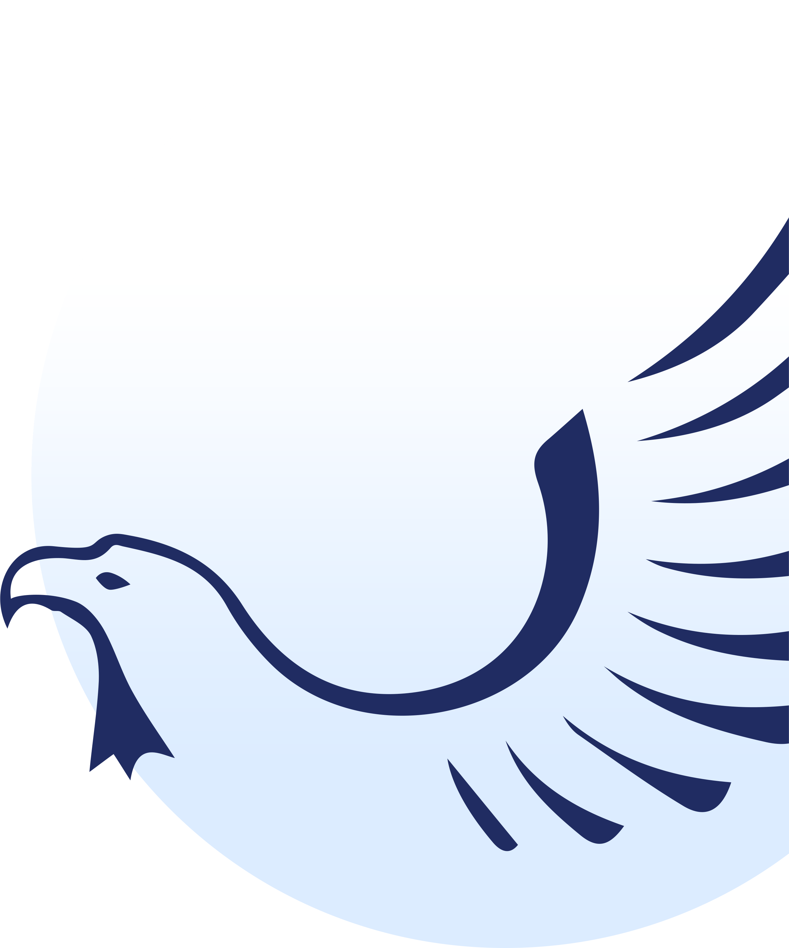 International Studies Virtual Academy