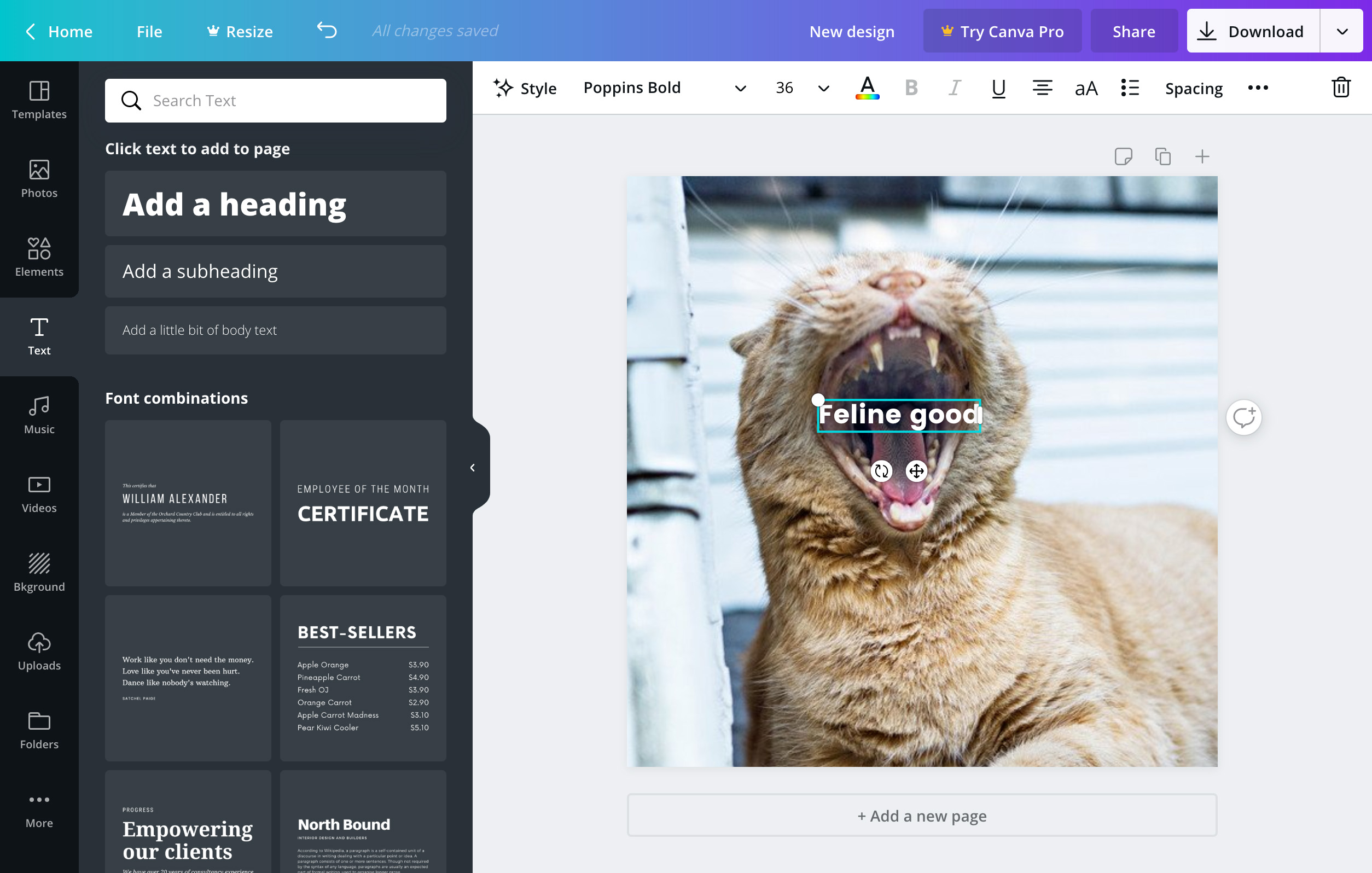 Modifica le tue foto con scritte online gratis Canva