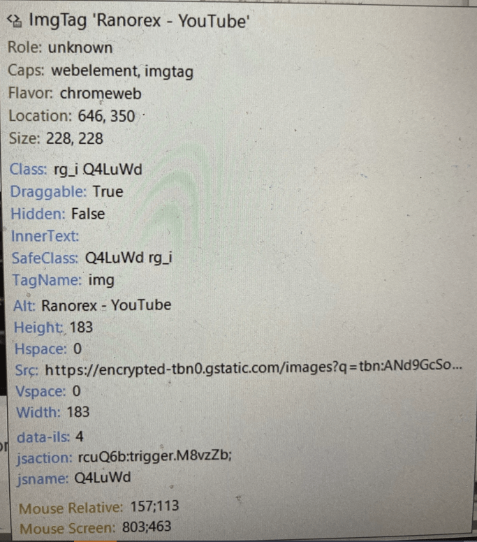 Ranorex Entitäten Role, Capabilities & Characteristics / Adapter