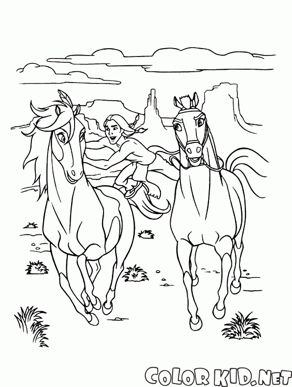 Disegni da colorare Spirit Cavallo selvaggio