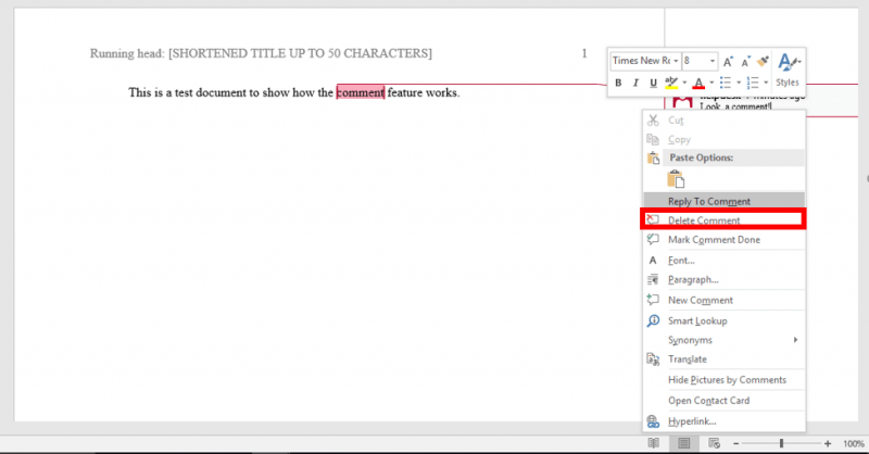 Comment Feature in Microsoft Word IT Services