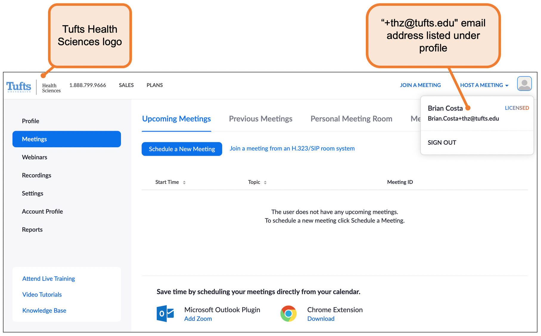 Zoom Meetings Technology Services