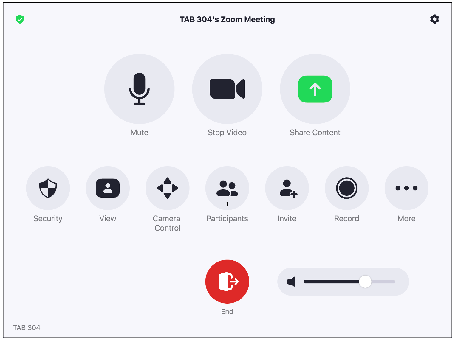Zoom Rooms Technology Services