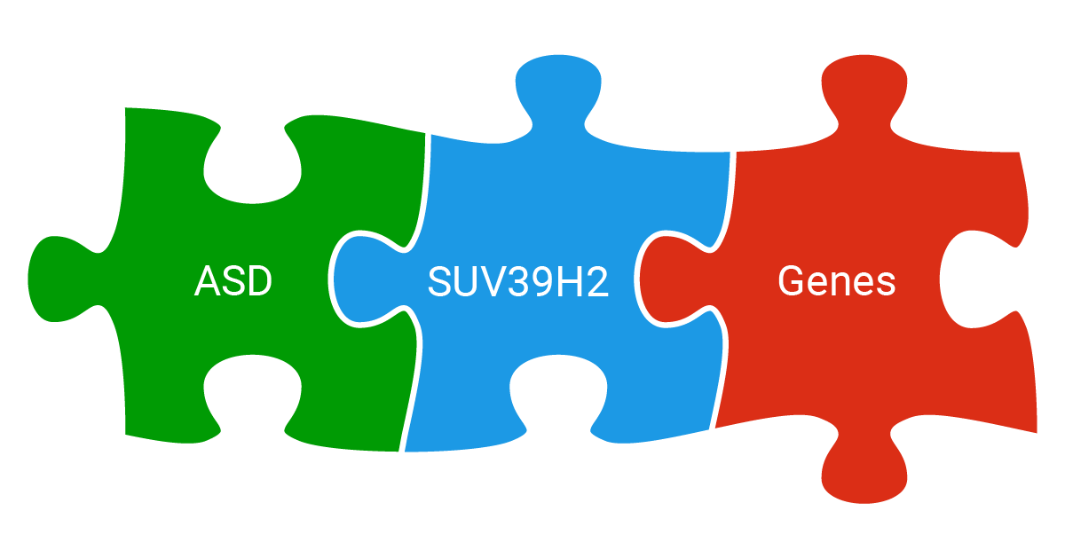 Methylation mutation directly linked to autism It Ain't Magic