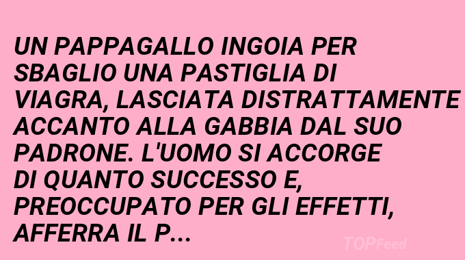 Gli effetti del viagra...(Barzelletta)