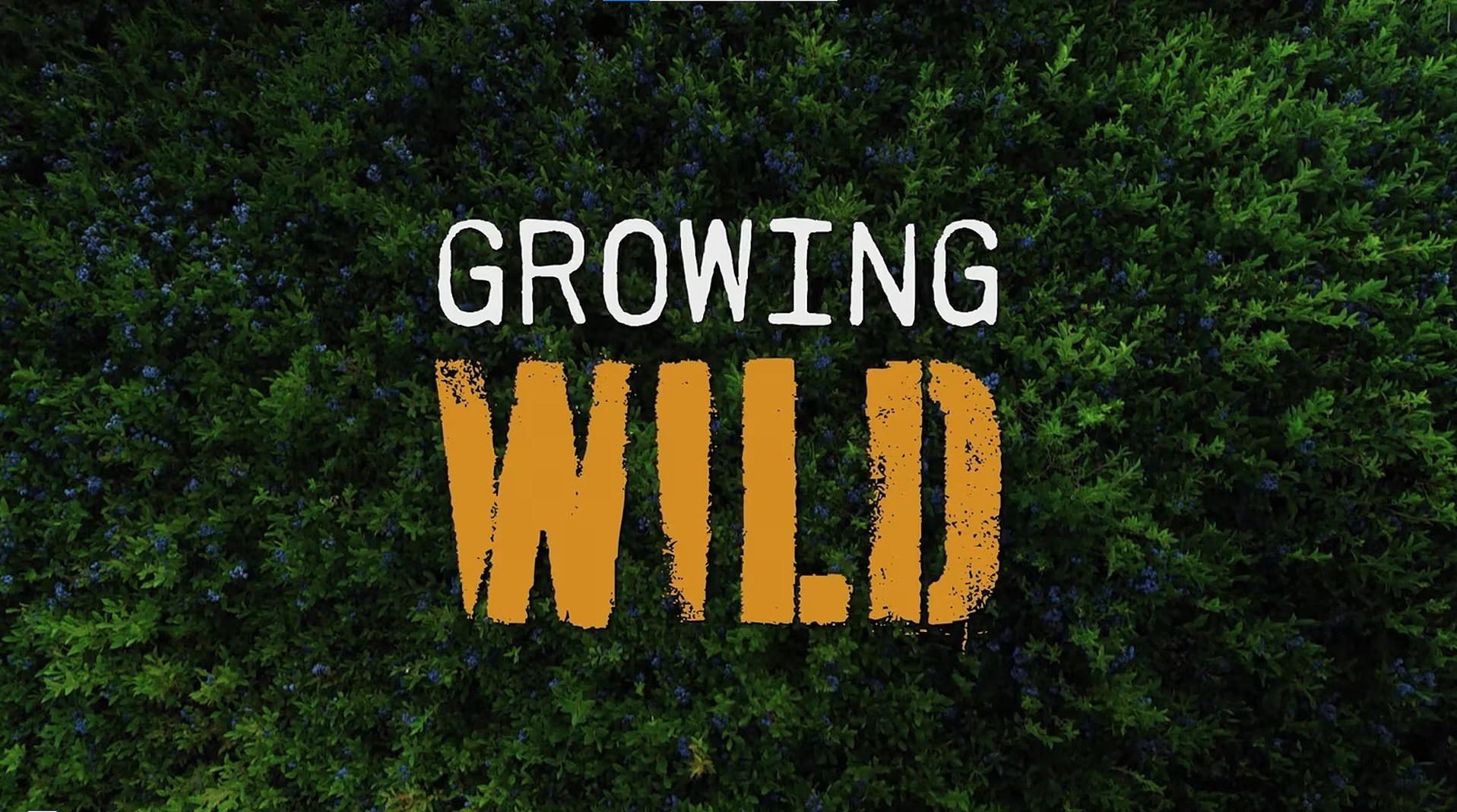 Growing Wild the documentary that captures the story of four wild