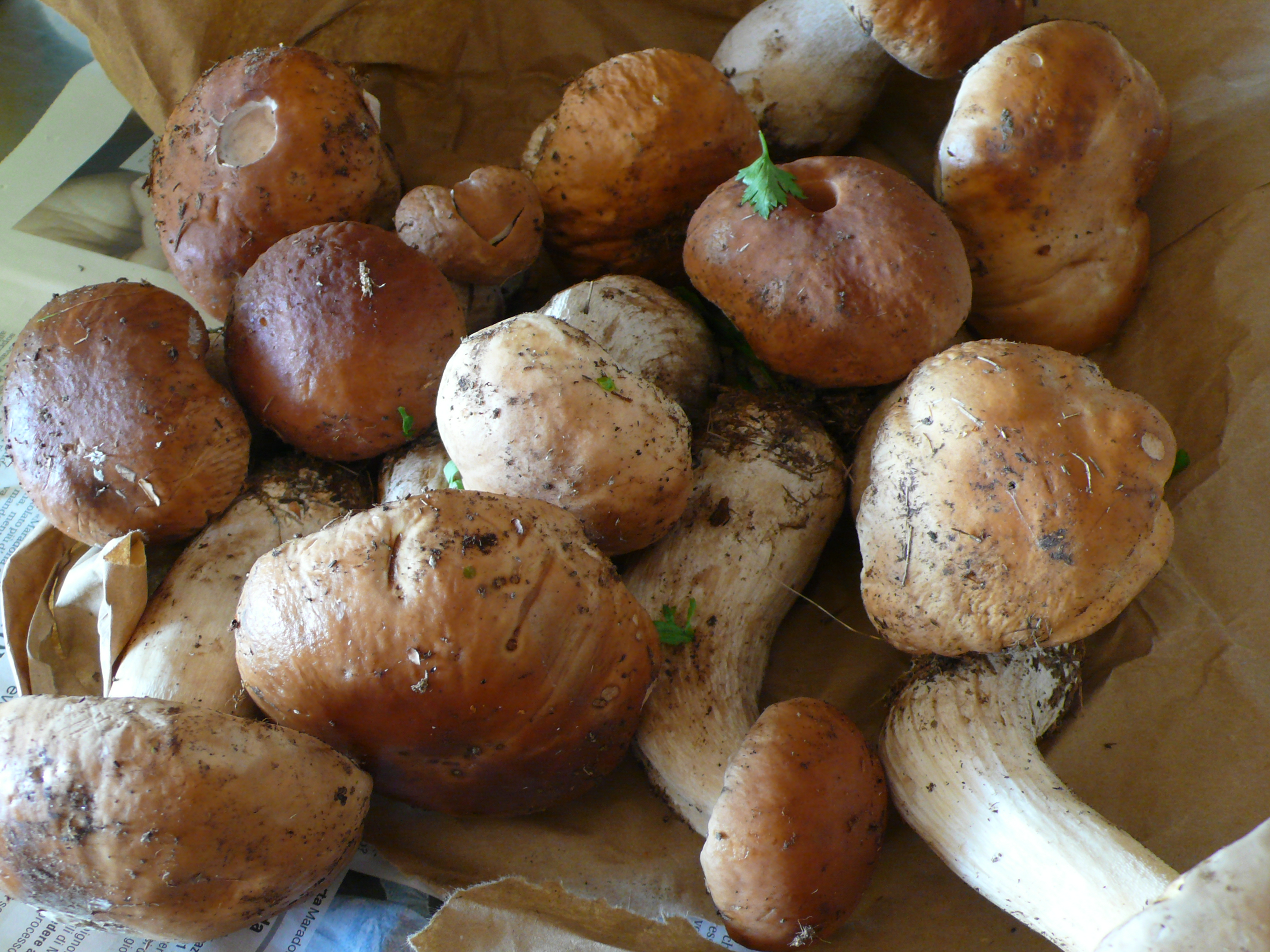 301 Moved Permanently