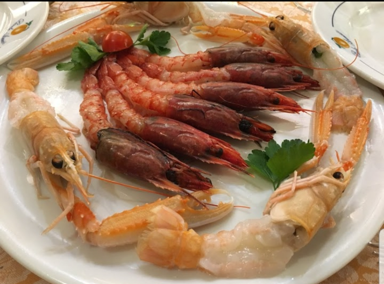 10 Best Places To Eat in Rome Near Trevi Fountain Italy Best