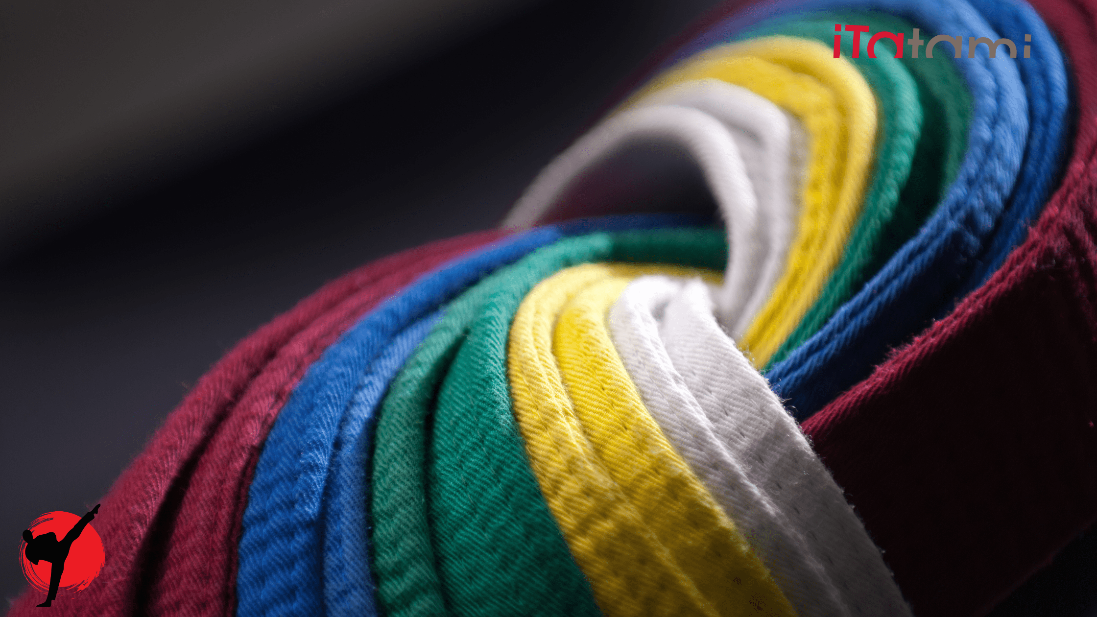 Judo Belts Meaning and Grade Progression