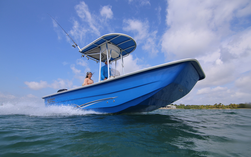 Carolina Skiff 19 SWS Prices, Specs, Reviews and Sales Information