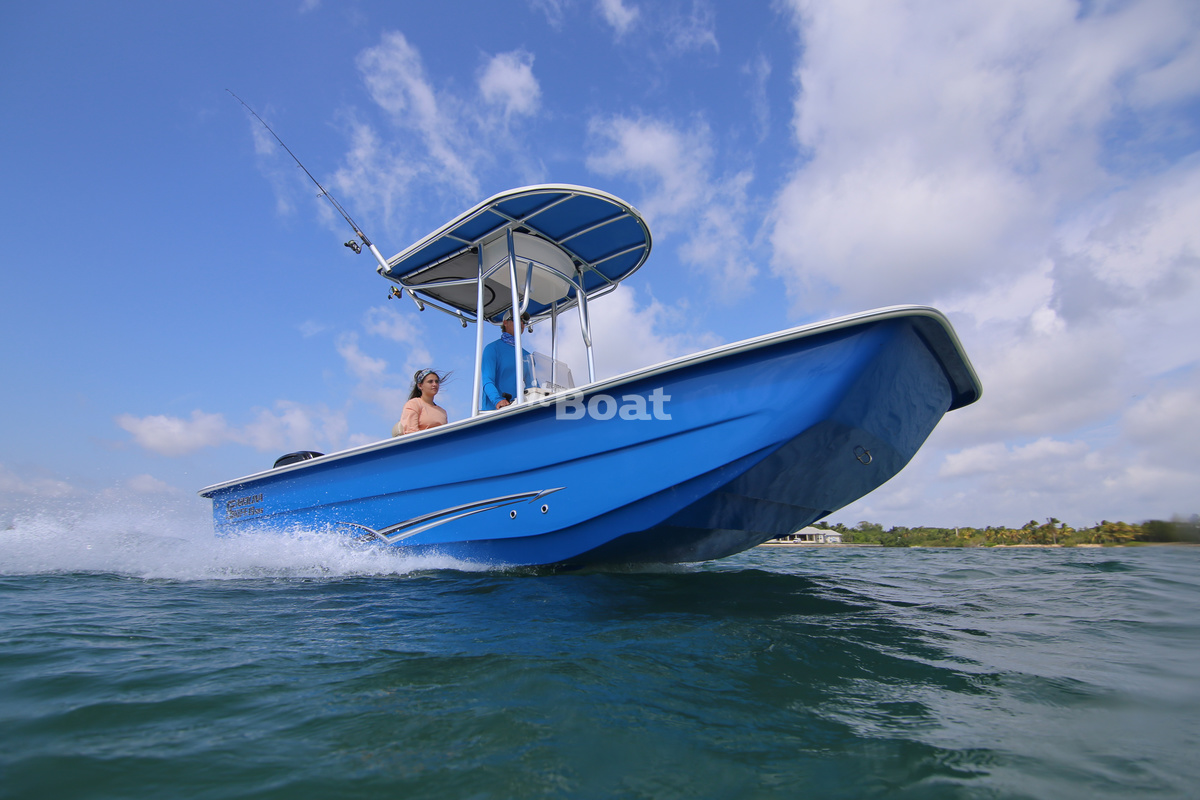 Carolina Skiff 19 SWS Prices, Specs, Reviews and Sales Information itBoat