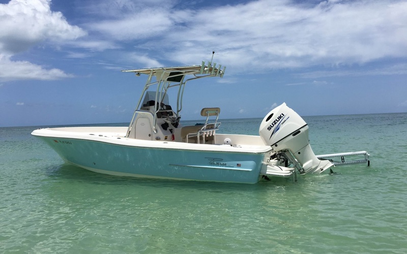 Pioneer Bay Sport 220 Prices, Specs, Reviews and Sales Information