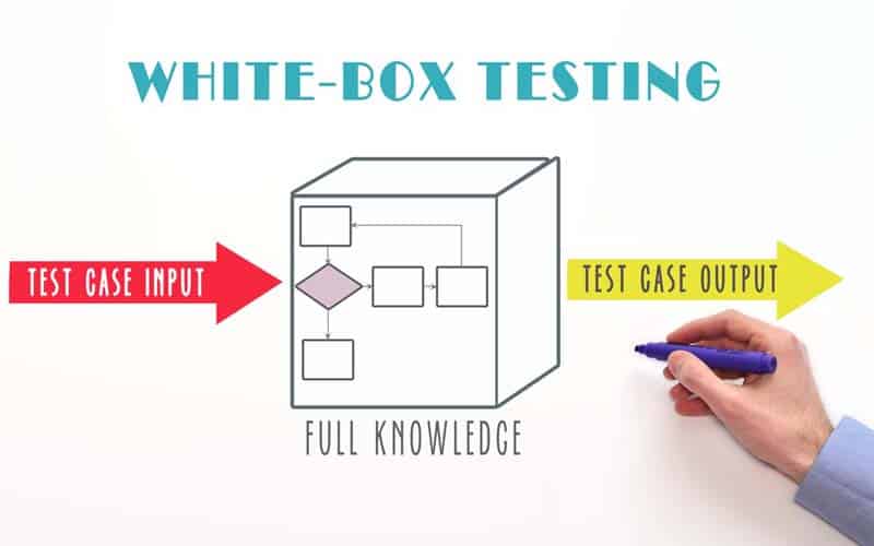 White Box Testing Adalah Pengertian, Contoh dan Teknik