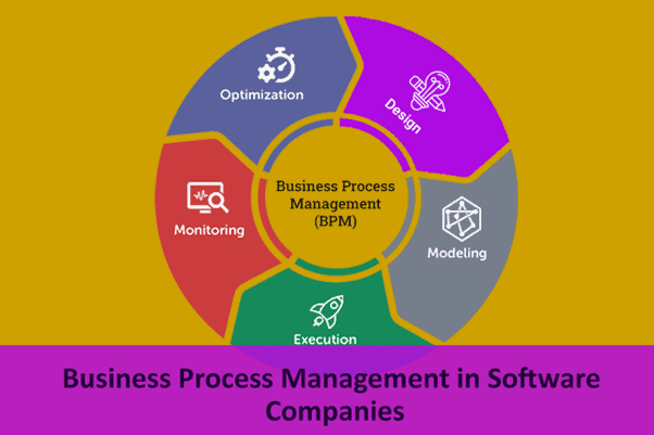Business Process Management in Software Companies