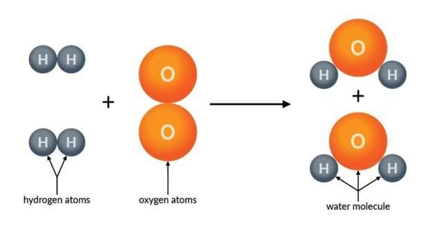 Properties of Water Biology Activities ⋆