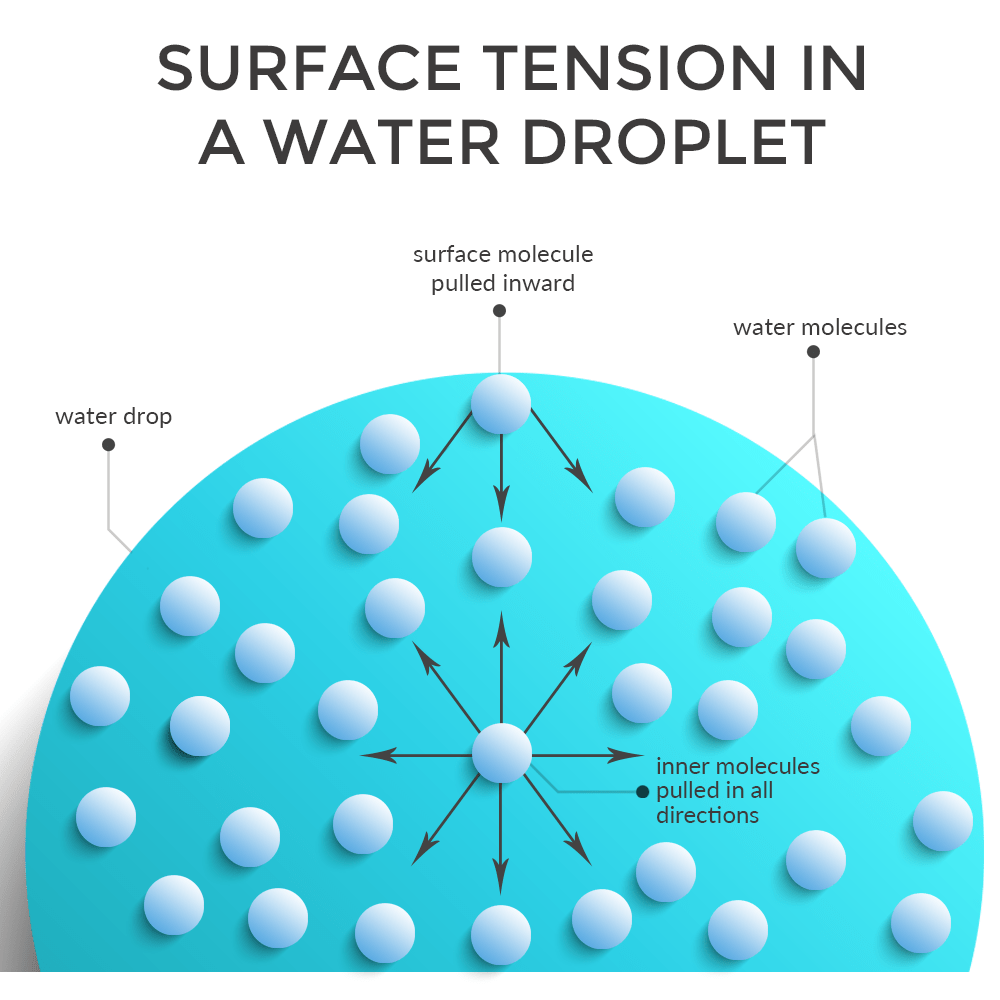 Surface Tension Of Water Molecules