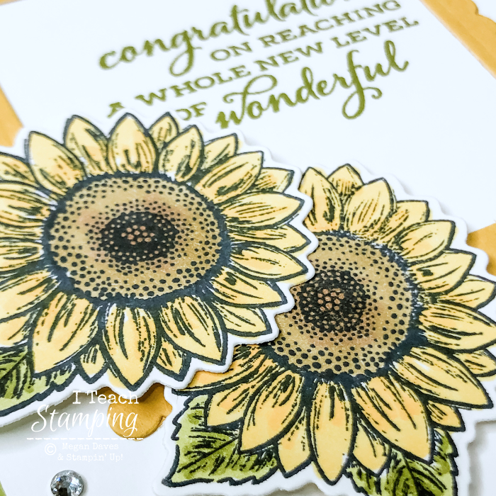 Special Sunflower Cards For Friendship I Teach Stamping