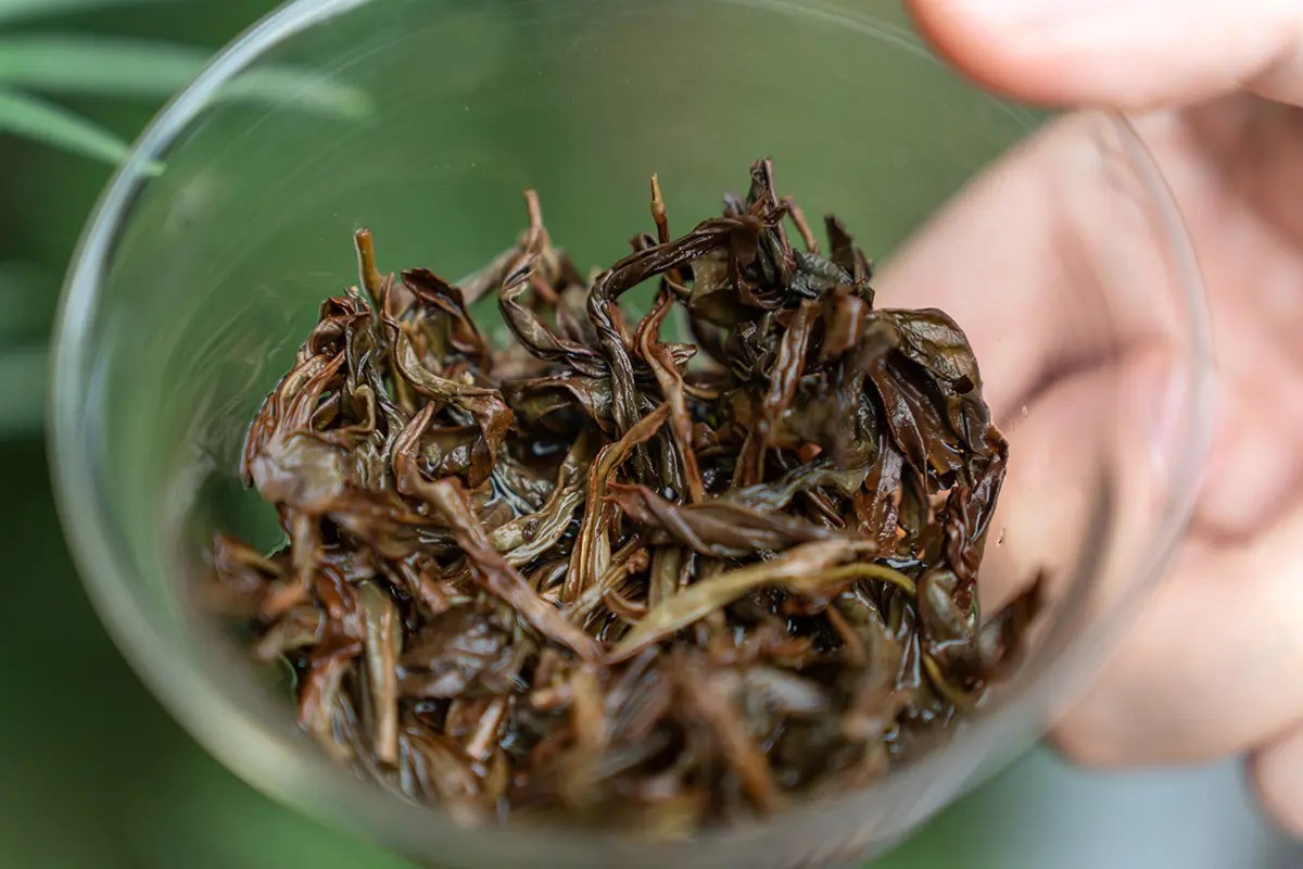 How to Choose the Perfect Loose Leaf Oolong Tea (6 Easy Steps)
