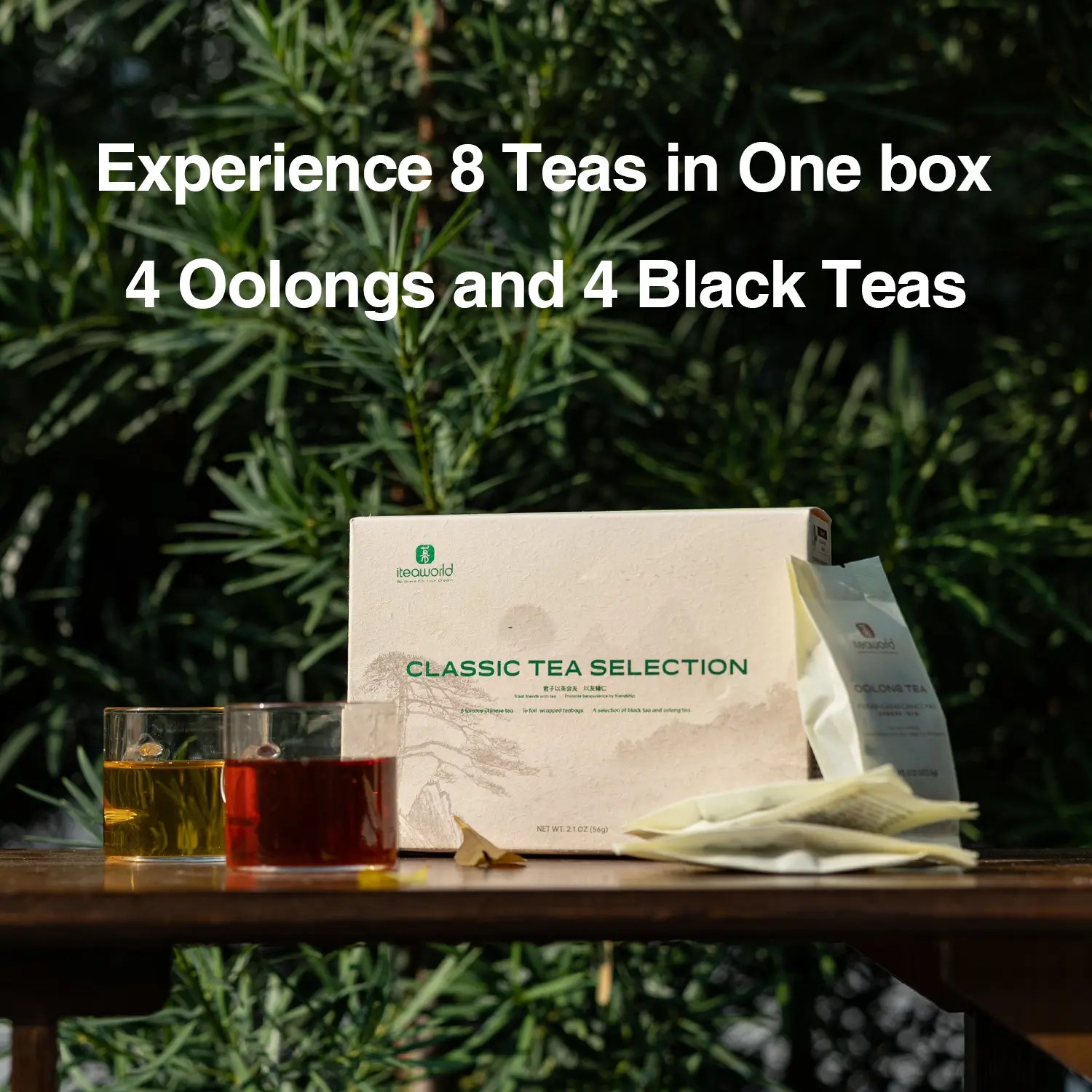 Shop Tea For Beginners Exclusive Deals from iTeaworld