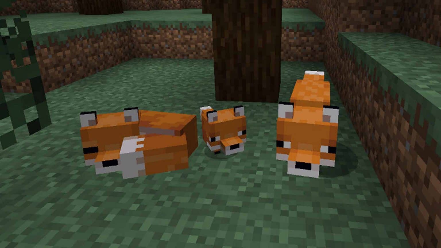 Minecraft Tame Fox How To Tame Foxes In Minecraft