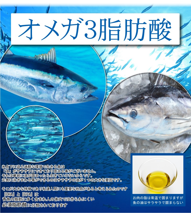 オメガ3 DHA EPA 魚 ギガランキングJP