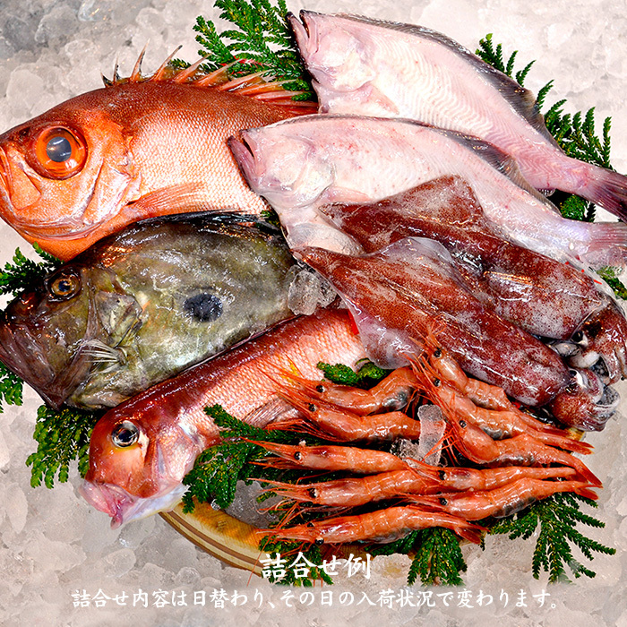 四季の魚を直送！旬の獲れたて高級鮮魚 6〜7種類詰め合わせ (石川県産／主にお刺身用・下処理済み) ※お届け日の指定不可 fishset2