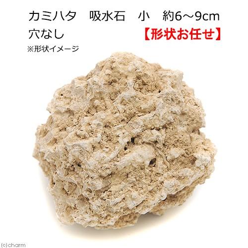 結婚祝い カミハタ 吸水石 小 穴なし約6〜9cm テラリウム パルダリウム 着生 コケ dprd.jatimprov.go.id