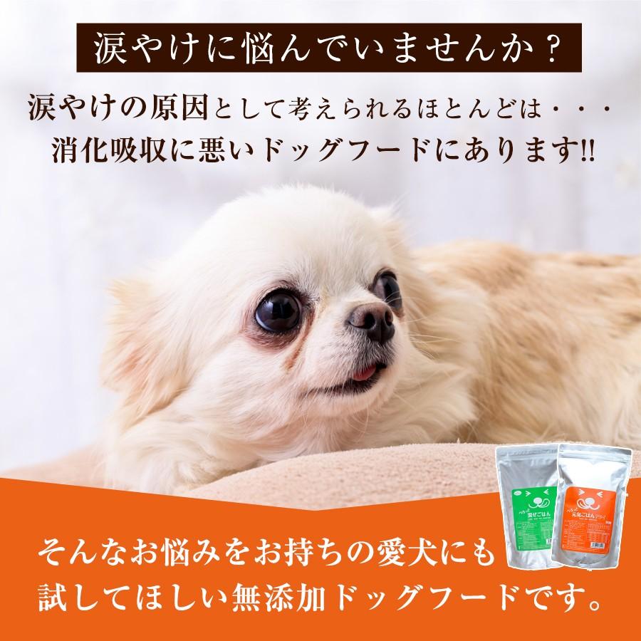 ドッグフード 涙やけ 無添加 お試し 鶏肉 国産 ぺろっと元気ごはん1kg p1k博多ドッグス 通販