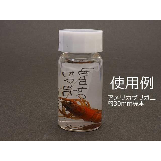 液浸標本作成用ねじ口瓶 (30ml) GBSV30インセクテック・ドット・コム 通販 Yahoo!ショッピング