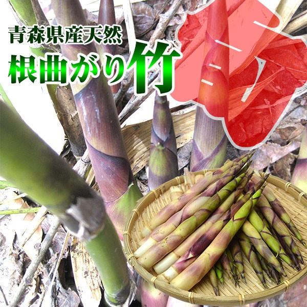 （送料無料）青森県産 天然根曲がり竹2kg（生）根曲がり竹 たけのこ朝掘り タケノコ 山菜 筍 10000532