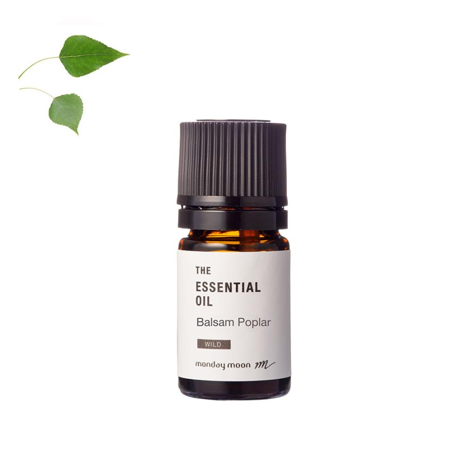 10OFF バルサムポプラ・エッセンシャルオイル・野生種／5ml メール便200円 アロマオイル 香り 100 無添加 エッセンシャル