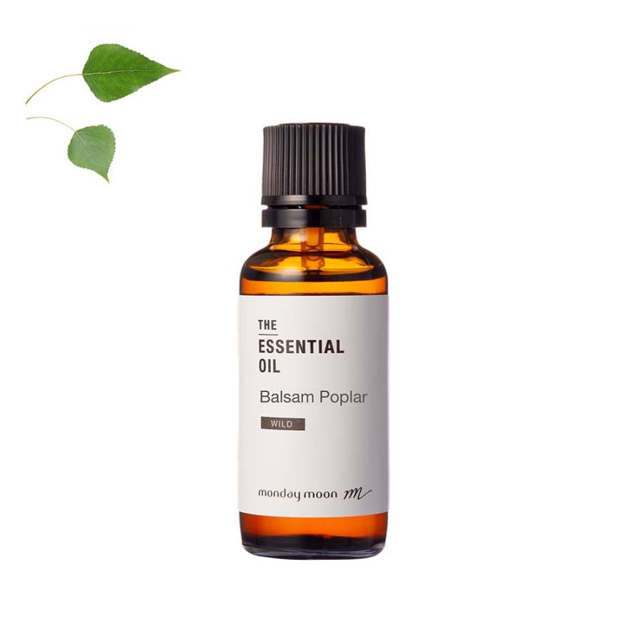 今だけP10倍 バルサムポプラ・エッセンシャルオイル・野生種／30ml アロマオイル 香り 100 無添加 エッセンシャルオイル