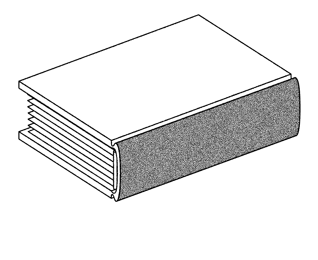 spine + definition and meaning by itemzero