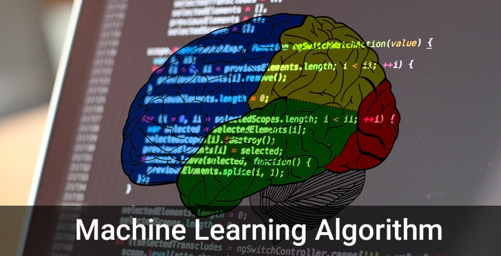 How Does Google’s �did you mean� algorithm work? IT Enterprise