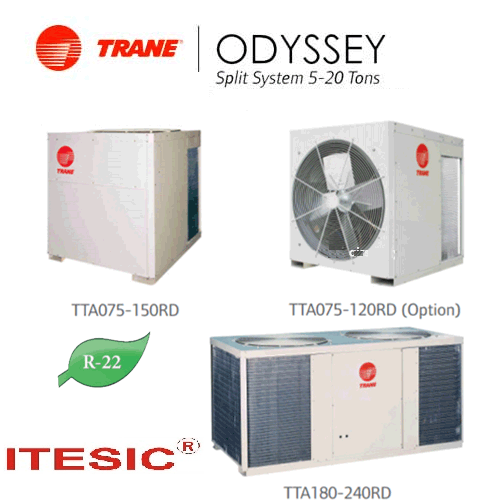 Trane đặt sàn ống gió 240.000 Btu/H TWE240CD/TTA240RD