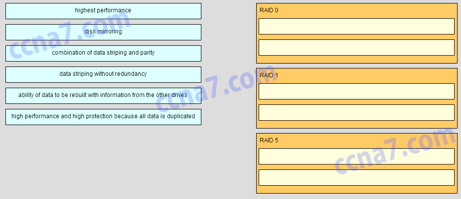 IT Essentials (ITE v6.0) Chapter 1 Exam Answers 100 2016