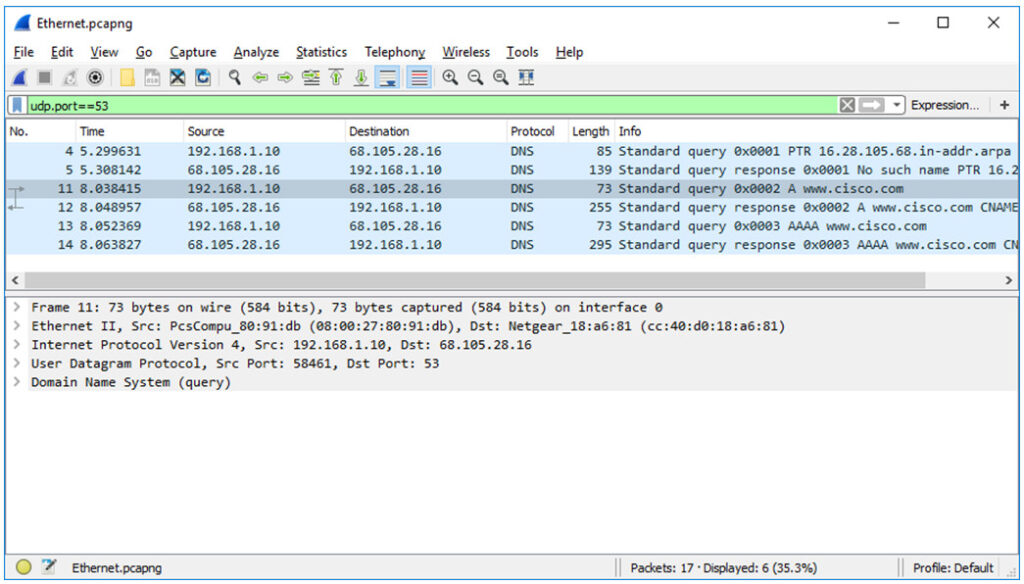 3.8.8 Lab Explore DNS Traffic (Answers)