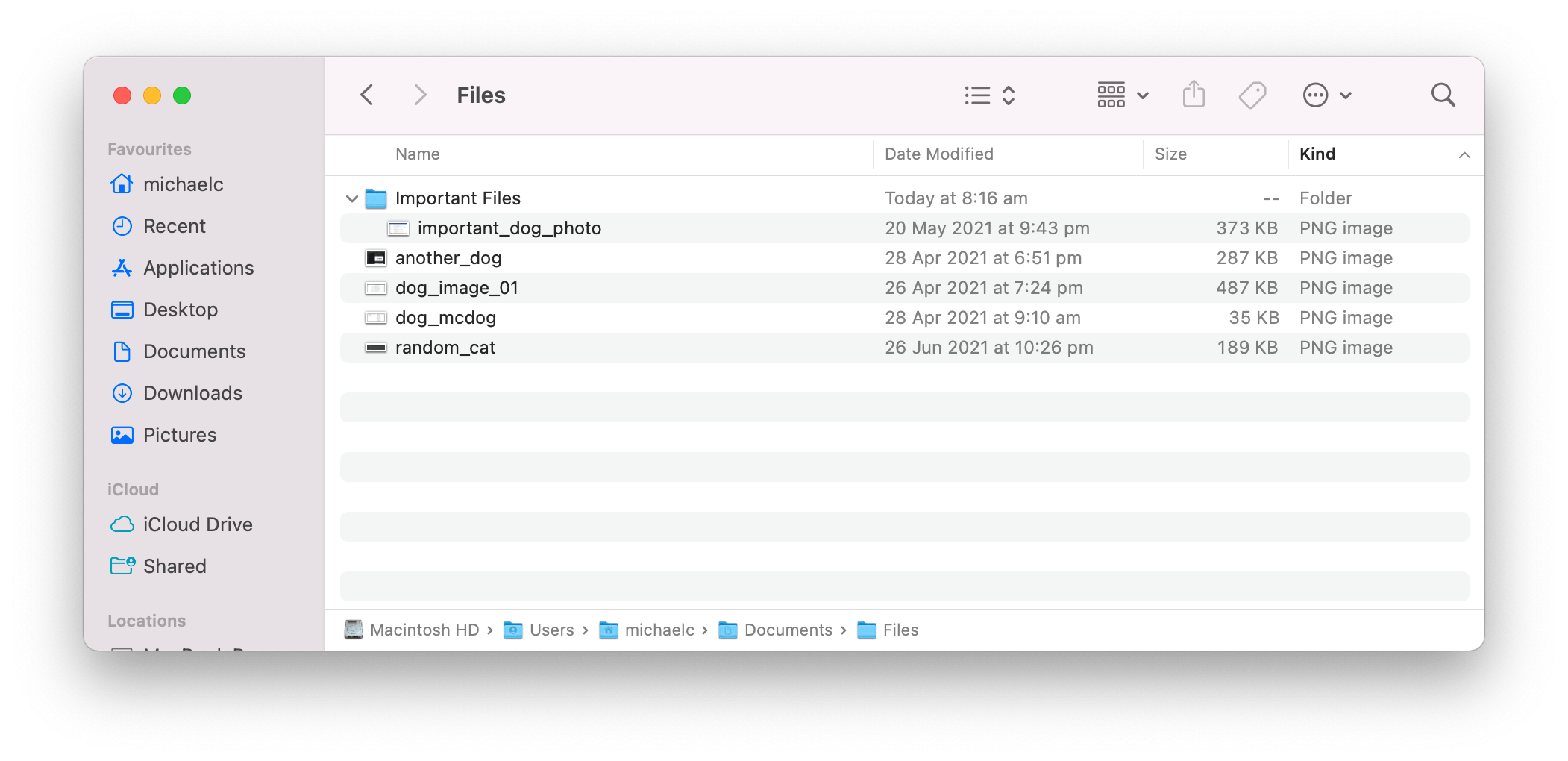 Introduction IT Fundamentals