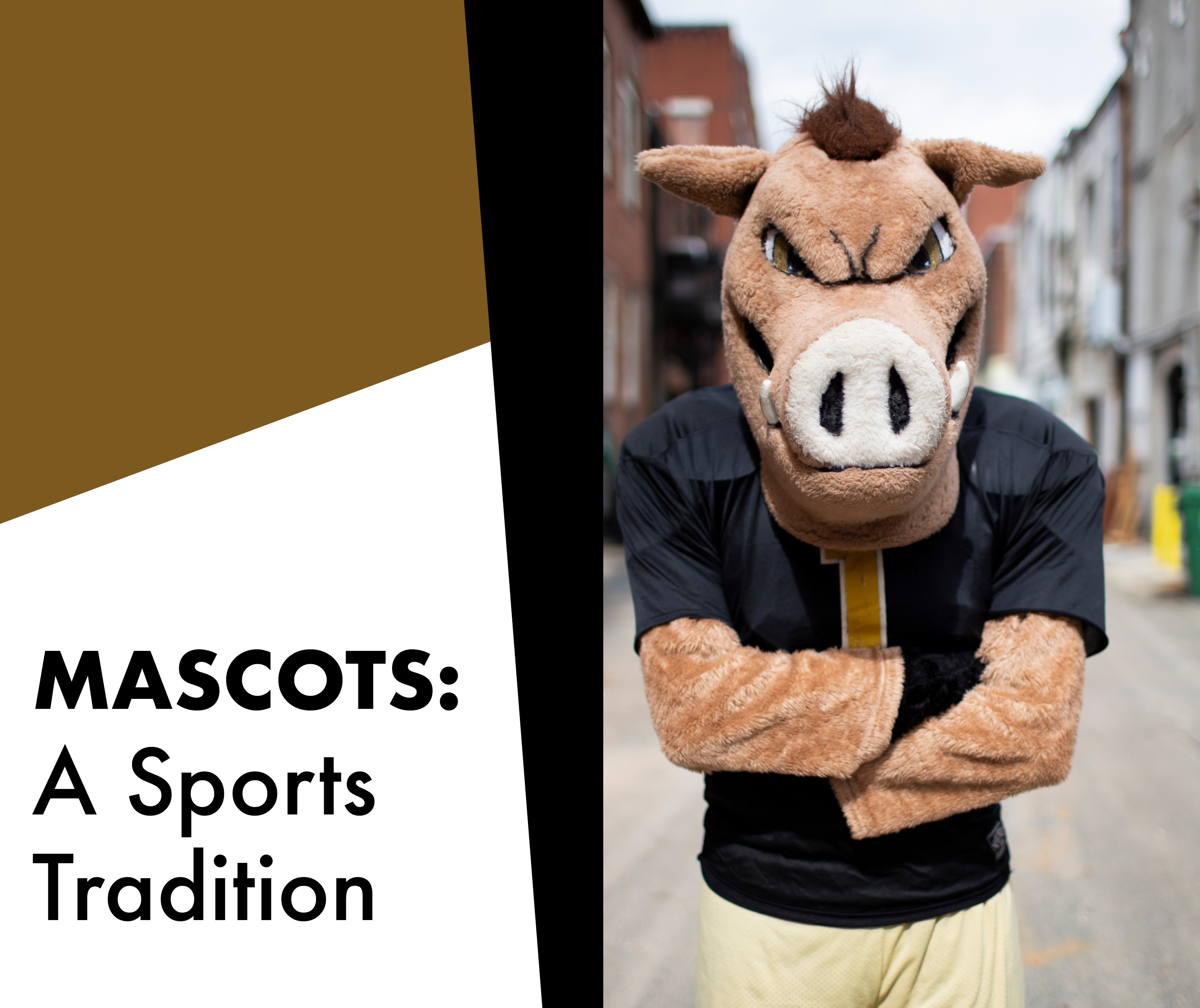 Mascots A Sports Tradition ITG Next