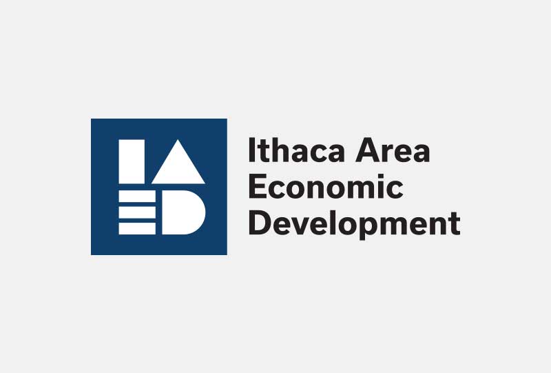 Ithaca Area Economic Development Danielle Szabo as Director of