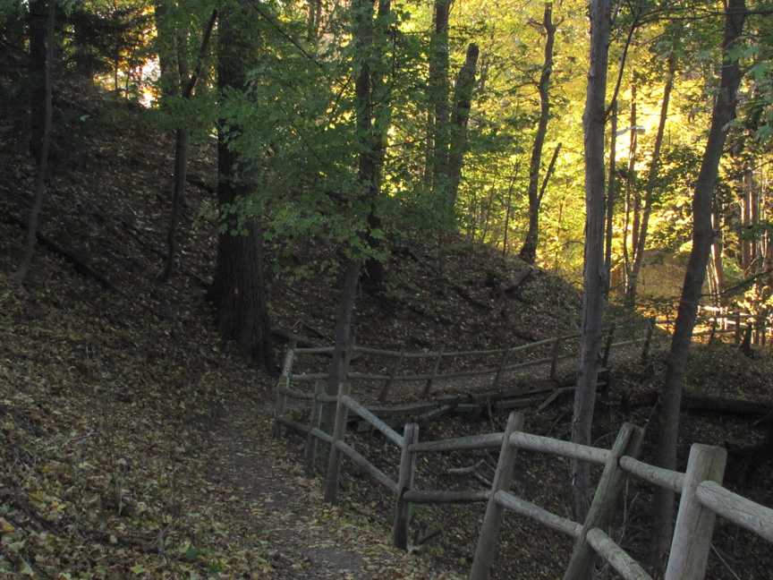 Strolling the Cayuga Trail Walk in the Park