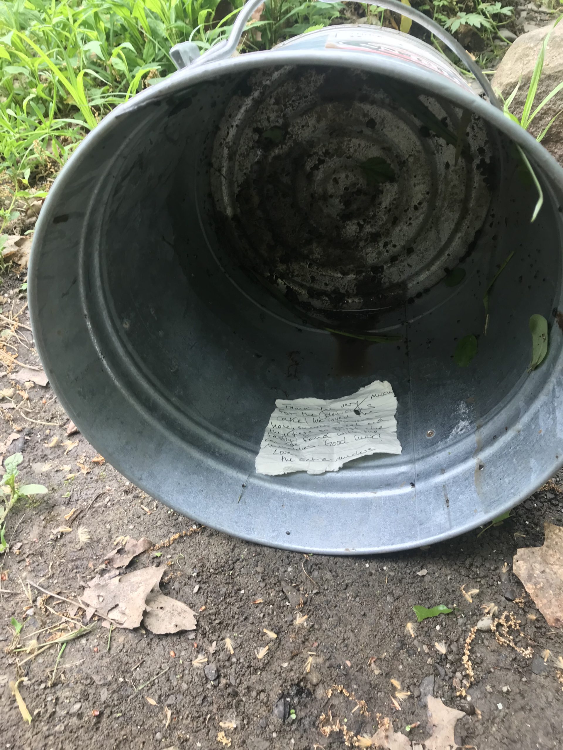 Week 9 Chickadees Stories and Scavenger Hunts! Ithaca Forest Preschool