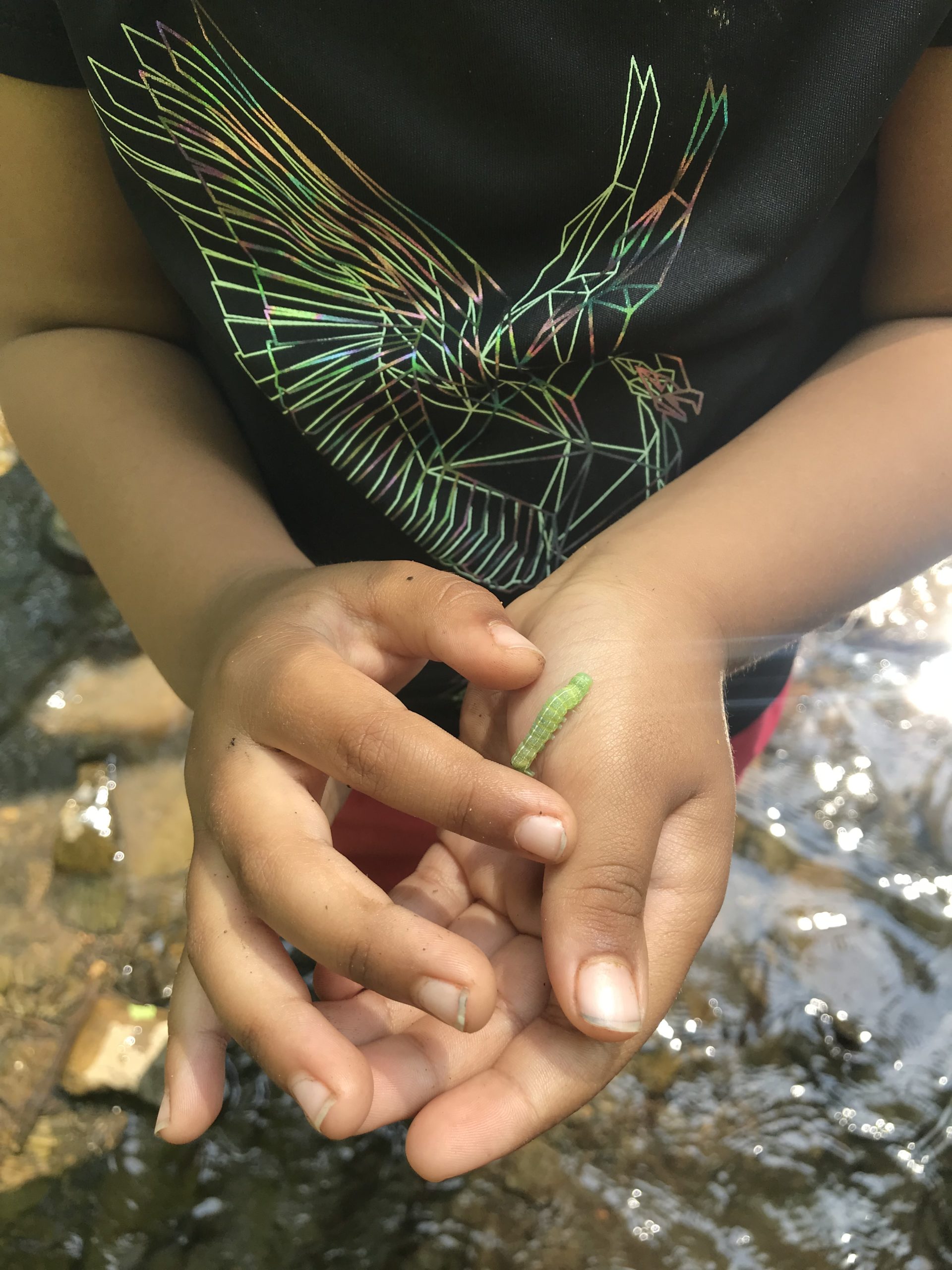 Week 9 Chickadees Stories and Scavenger Hunts! Ithaca Forest Preschool