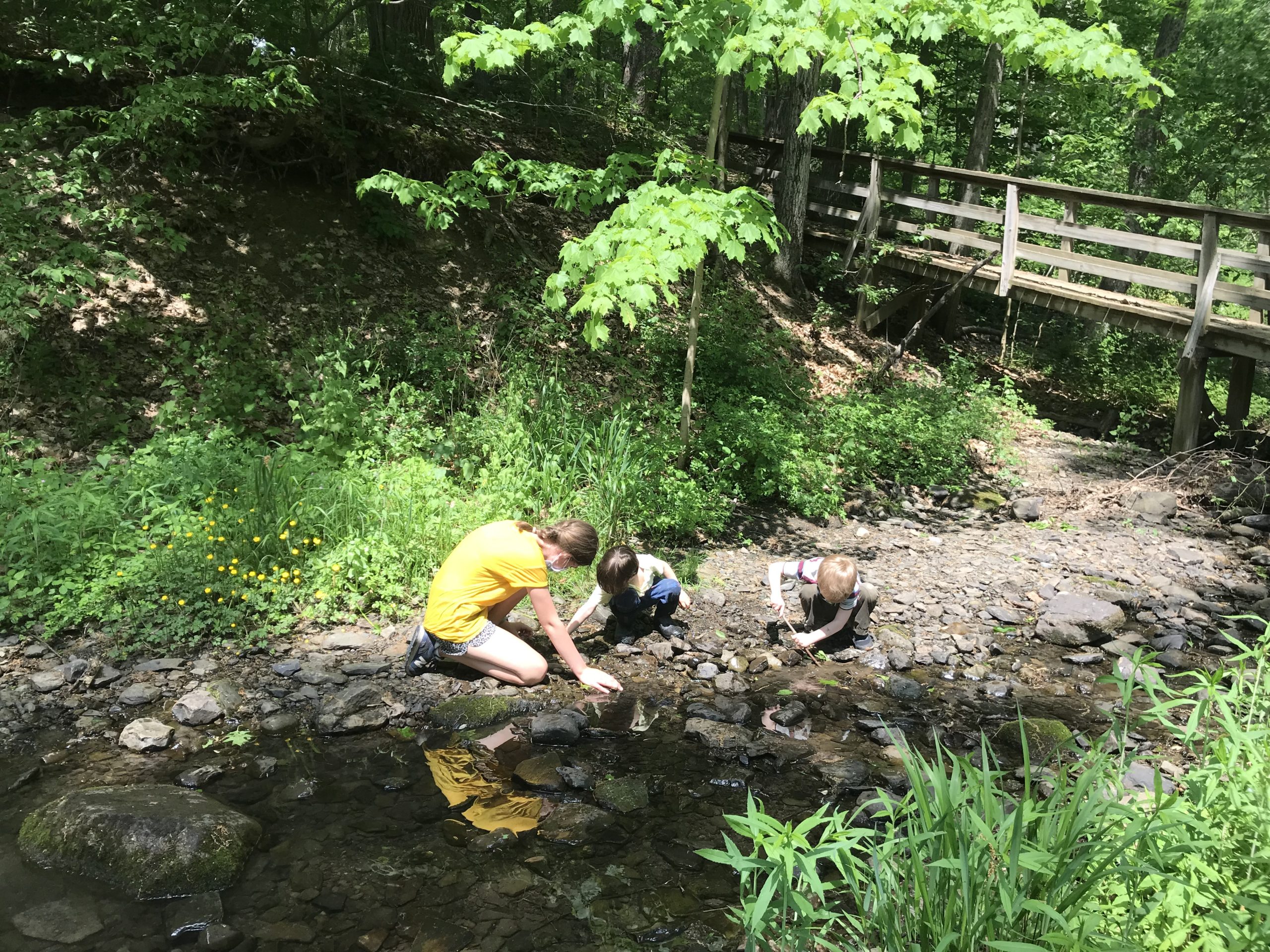 Week 9 Chickadees Stories and Scavenger Hunts! Ithaca Forest Preschool