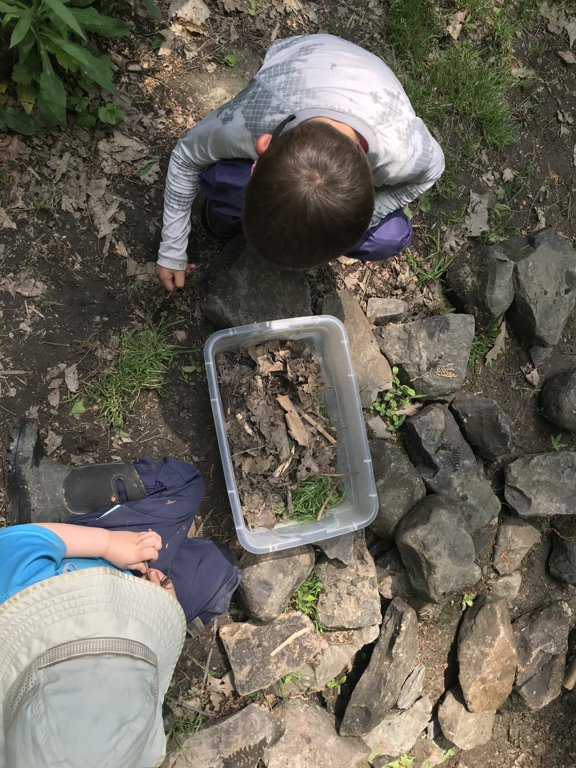 Week 9 Chickadees Stories and Scavenger Hunts! Ithaca Forest Preschool