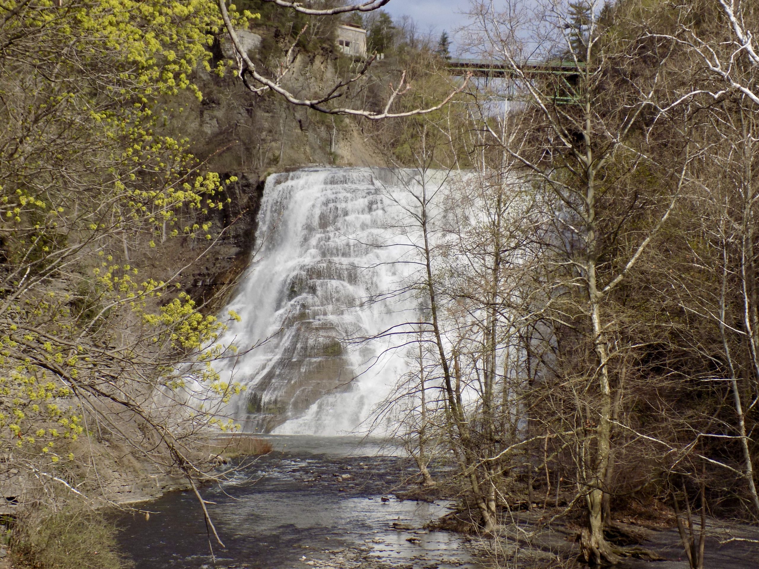 Update Man dies after falling, drowning in Ithaca Falls The