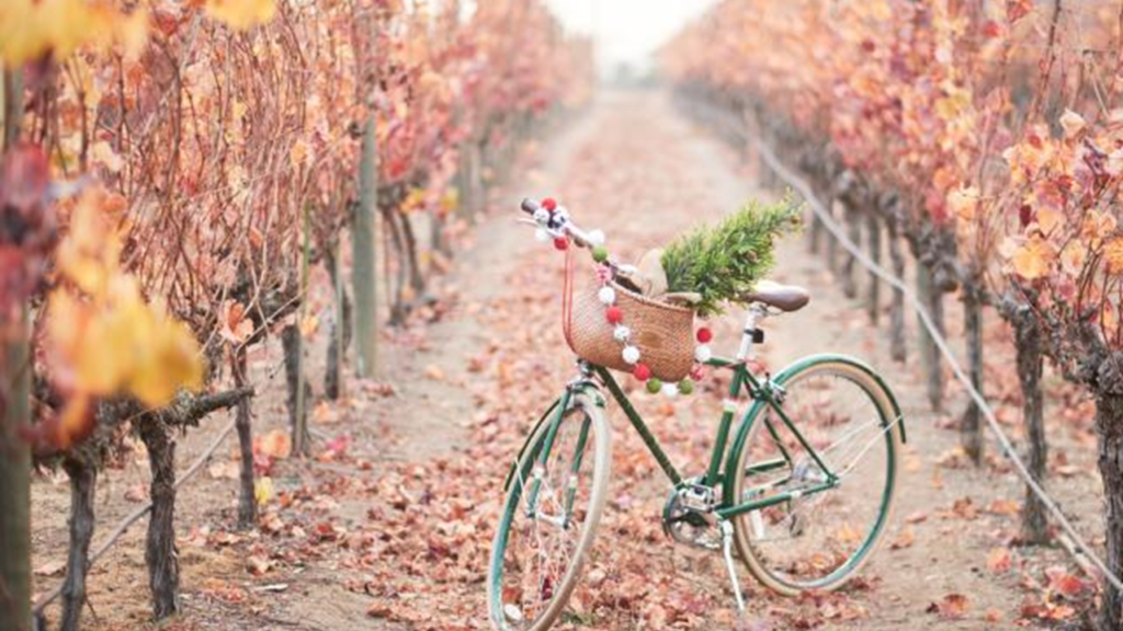 California Wine Tour Napa and Sonoma Valleys International Travelers