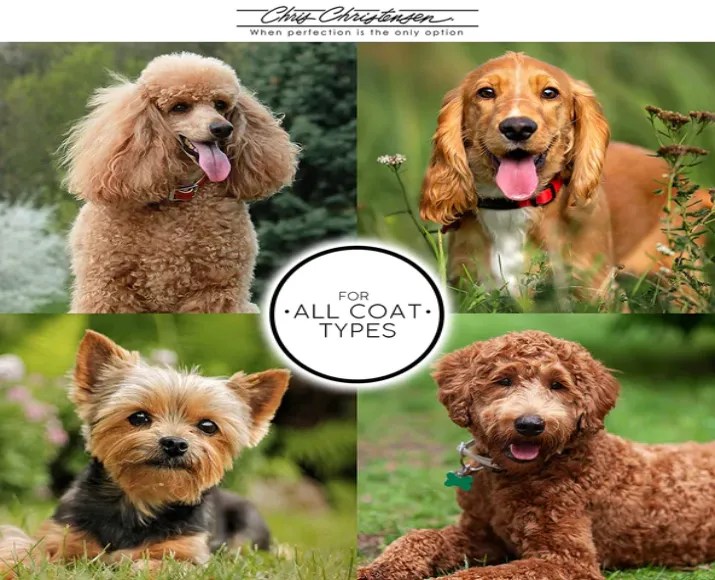 Buy Chris Christensen Clean Start Clarifying Shampoo ITP